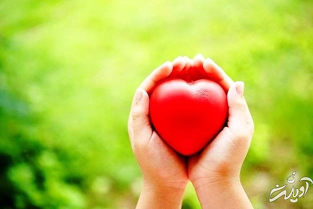  کالری باغبانی 